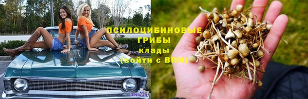 гидра Остров
