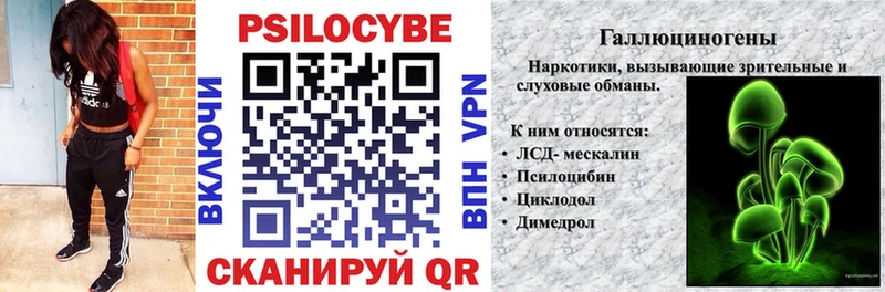 Псилоцибиновые грибы ЛСД  хочу   hydra зеркало  Суздаль 